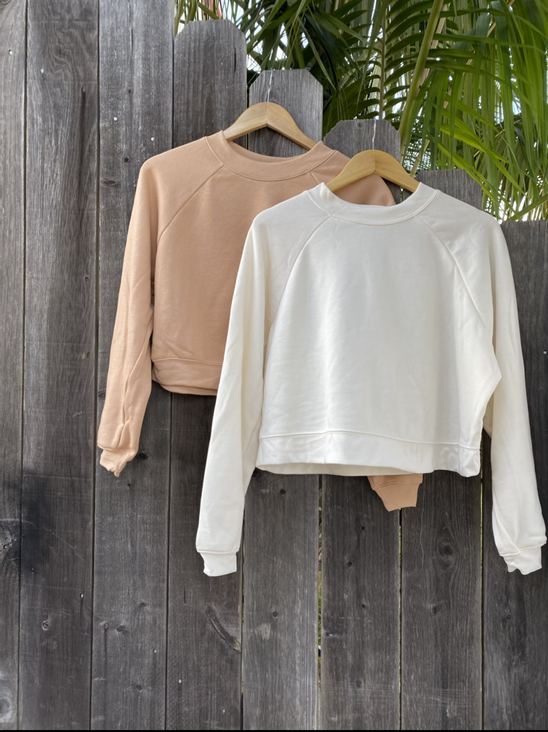 Cozy Crop Sweatshirt